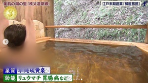 犬井ゆきさん・温泉入浴モデル(ぼかしが入っています)