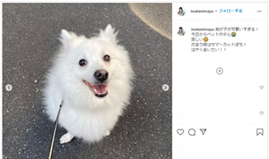 岩谷麻優さんの子供?